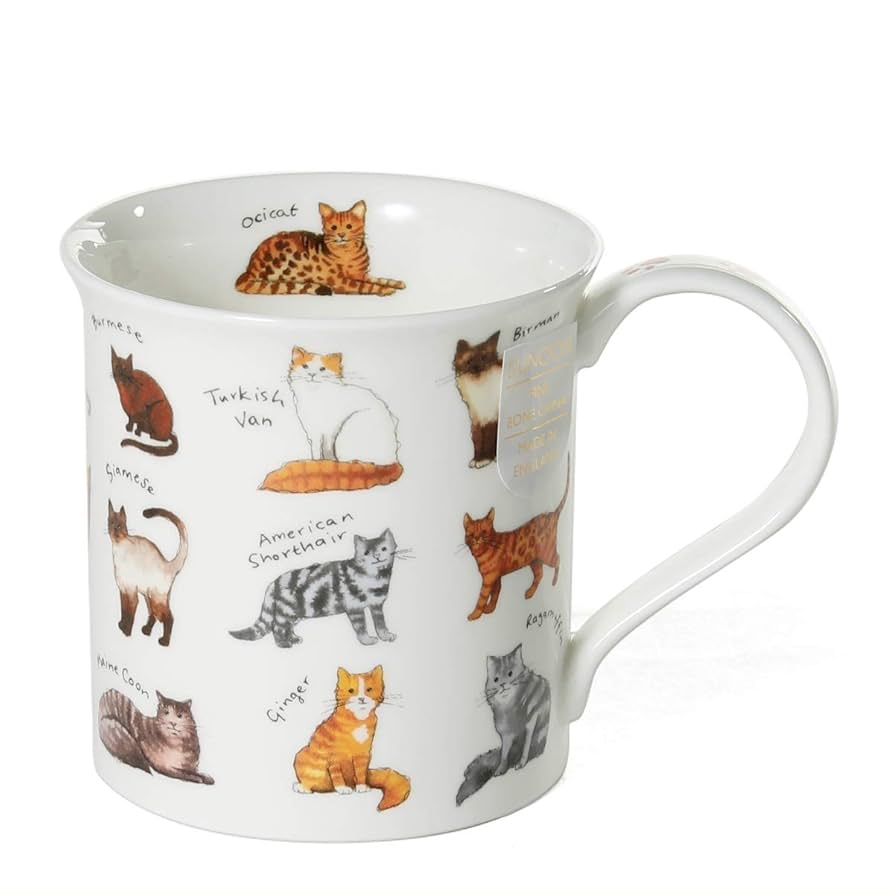 ダヌーン　マグカップ　3個 Amazon.co.jp: ダヌーン(Dunoon) マグ BUTE お気に入りの猫はど